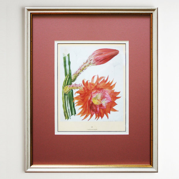 Фото из портфолио Summer flowers – фотографии дизайна интерьеров на INMYROOM