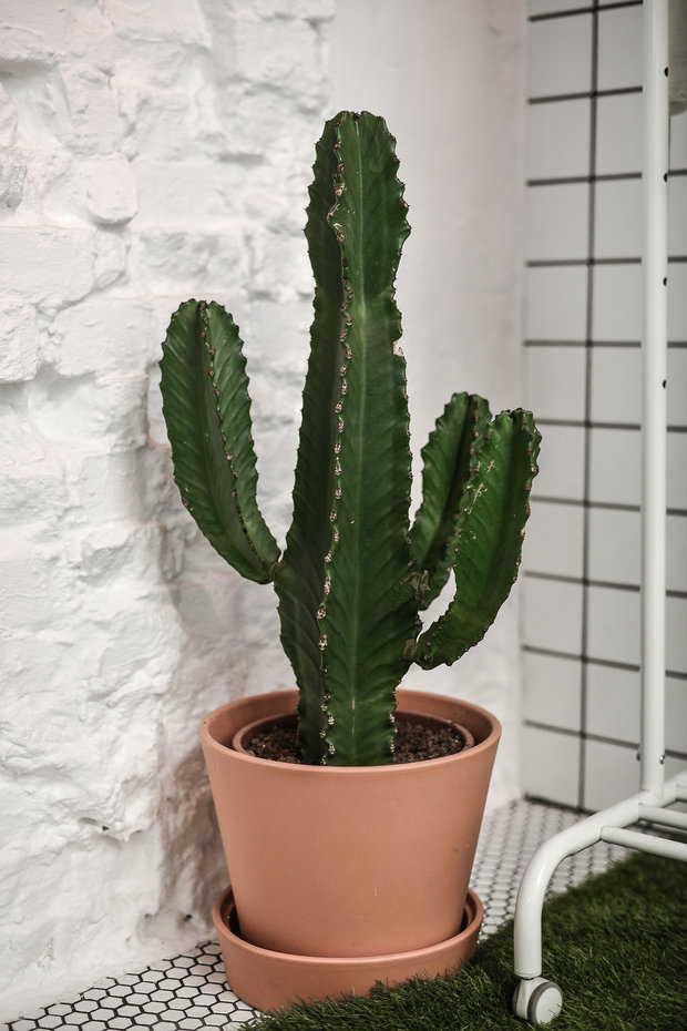 Фото из портфолио KRASOTA – фотографии дизайна интерьеров на INMYROOM