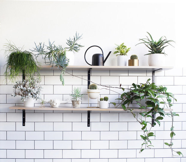 Фотография: Флористика в стиле Современный,  – фото на INMYROOM