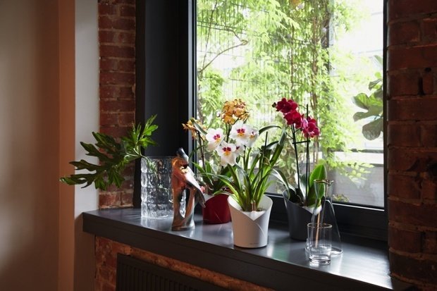 Фото из портфолио Lechuza ORCHIDEA – фотографии дизайна интерьеров на INMYROOM