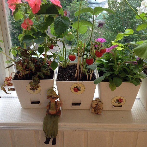 Фото из портфолио Личный опыт в балконном дизайне. – фотографии дизайна интерьеров на INMYROOM