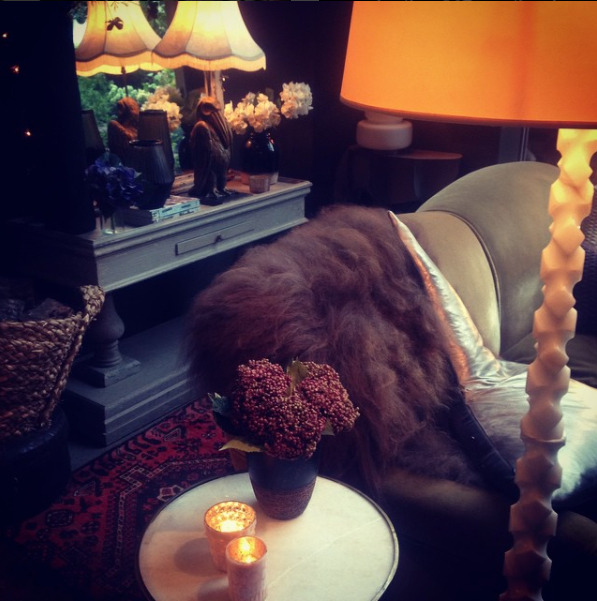 Фотография: в стиле , Интервью, Правила дизайна, Абигейл Ахерн – фото на INMYROOM Фотография: в стиле , Интервью, Правила дизайна, Абигейл Ахерн – фото на INMYROOM