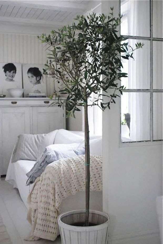 Фотография: Декор в стиле Скандинавский, Спальня, Интерьер комнат, Подушки, Ковер – фото на INMYROOM