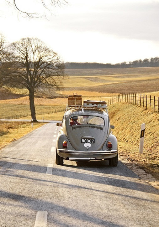 Фотография: Прочее в стиле , Декор интерьера, Дом, Праздник, Дача, Пикник – фото на INMYROOM Фотография: Прочее в стиле , Декор интерьера, Дом, Праздник, Дача, Пикник – фото на INMYROOM