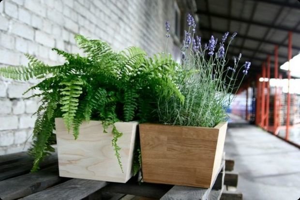Фото из портфолио Кашпо Handywood в интерьере – фотографии дизайна интерьеров на INMYROOM