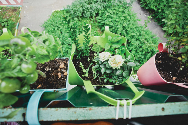 Фотография: Балкон, Терраса в стиле , Декор интерьера, Интерьер комнат – фото на INMYROOM