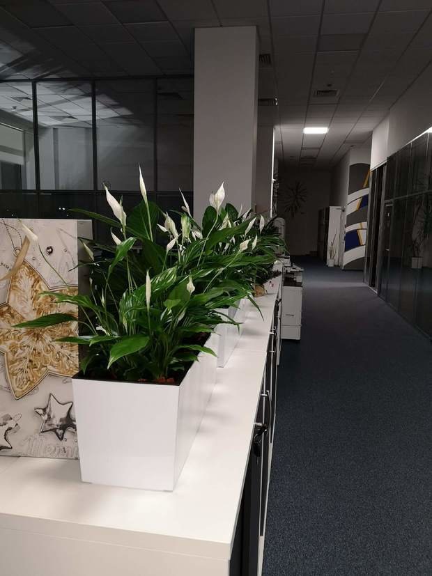 Фото из портфолио Офис – фотографии дизайна интерьеров на INMYROOM