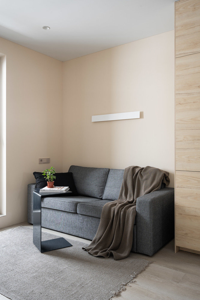 Фотография: Гостиная в стиле Современный, Минимализм, Квартира, Студия, Проект недели, Санкт-Петербург, до 40 метров, Avoid Bad Architecture – фото на INMYROOM Фотография: Гостиная в стиле Современный, Минимализм, Квартира, Студия, Проект недели, Санкт-Петербург, до 40 метров, Avoid Bad Architecture – фото на INMYROOM