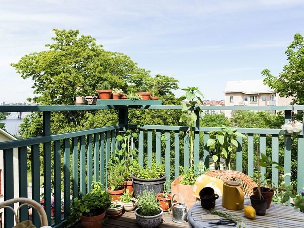 Фотография: Балкон в стиле Скандинавский, Современный, Квартира, Советы, Минимализм, 40-60 метров – фото на INMYROOM