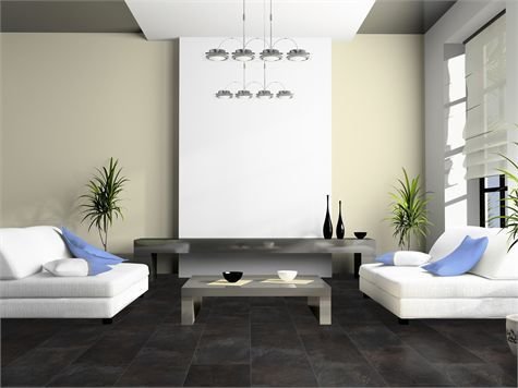 Фотография: Гостиная в стиле Минимализм, Декор интерьера, Декор дома, Пол – фото на InMyRoom.ru