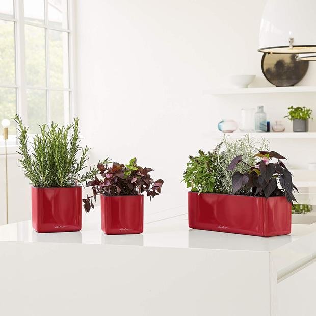 Фото из портфолио Цветочные кашпо Lechuza CUBE GLOSSY – фотографии дизайна интерьеров на INMYROOM
