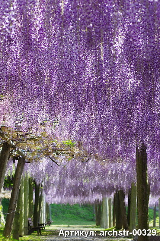 Фото из портфолио Арки, Улицы, Терасы – фотографии дизайна интерьеров на INMYROOM