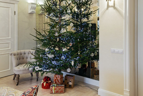 #apt_XmasMood