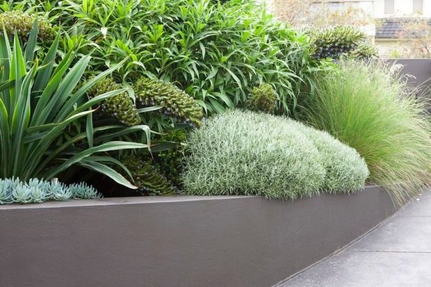 Фотография: Флористика в стиле , Ландшафт, Советы, Дом и дача, Мария Шумская – фото на INMYROOM