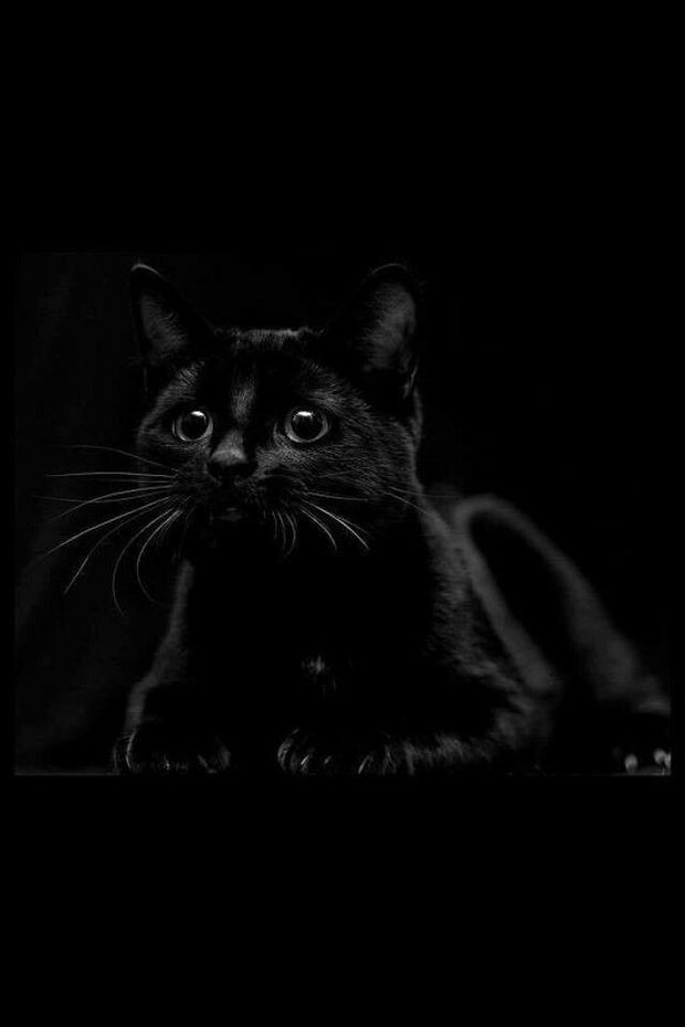 Фото из портфолио Что меня вдохновляет – фотографии дизайна интерьеров на INMYROOM