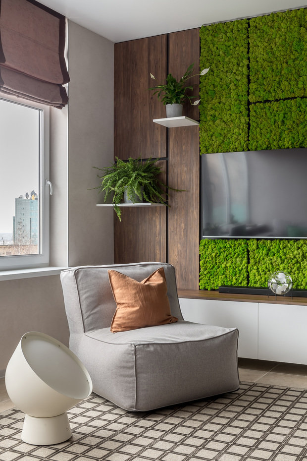 Фотография: Гостиная в стиле Современный, Эко, Квартира, Студия, Проект недели, Самара, Монолитный дом, 40-60 метров, 60-90 метров, Валерия Веселова – фото на INMYROOM