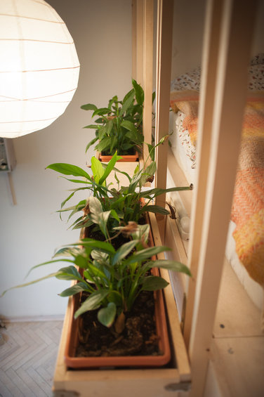 Фотография: Декор в стиле Эко, Декор интерьера, DIY, Квартира – фото на INMYROOM