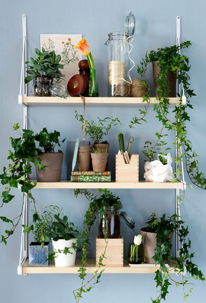 Фотография: в стиле , DIY, Советы, Bosсh, Finish – фото на INMYROOM