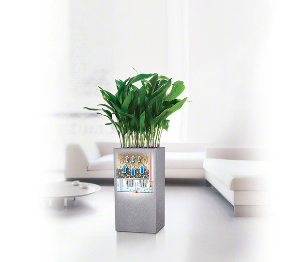 Фото из портфолио  Lechuza CANTO – фотографии дизайна интерьеров на INMYROOM