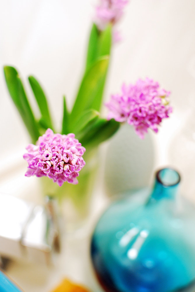 Фотография: Флористика в стиле , Малогабаритная квартира, Квартира, Дома и квартиры, IKEA, Проект недели, Галина Юрьева – фото на INMYROOM Фотография: Флористика в стиле , Малогабаритная квартира, Квартира, Дома и квартиры, IKEA, Проект недели, Галина Юрьева – фото на INMYROOM