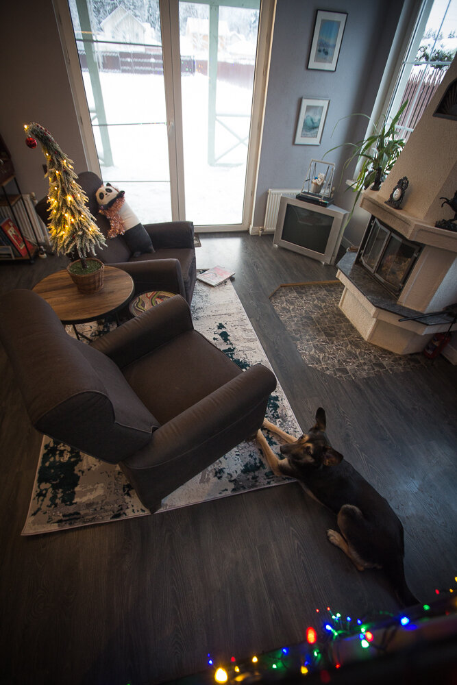 Фотография: в стиле , Дом, Ремонт на практике, Дмитровский район, поселок Подмосковные вечера, 4 и больше, Более 90 метров – фото на INMYROOM Фотография: в стиле , Дом, Ремонт на практике, Дмитровский район, поселок Подмосковные вечера, 4 и больше, Более 90 метров – фото на INMYROOM