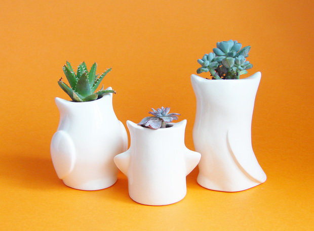 Фотография: Аксессуары в стиле Современный, Индустрия, Новости, Эко – фото на INMYROOM