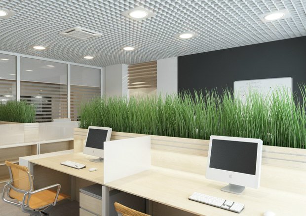 Фото из портфолио Офис – фотографии дизайна интерьеров на INMYROOM