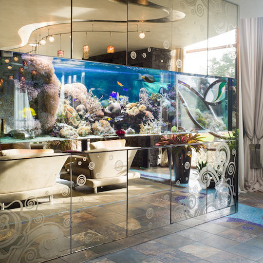 Фотография: Декор в стиле Современный, Декор интерьера, Дизайн интерьера, Марат Ка, Декоративная штукатурка, Альтокка – фото на INMYROOM