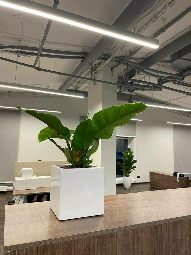 Интерьер офис в стиле лофт с элементами современного дизайна