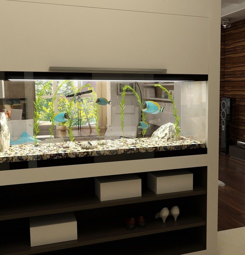 Фотография: в стиле , Советы – фото на INMYROOM