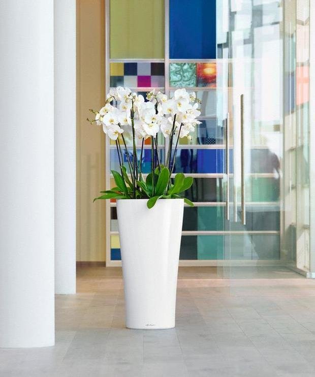 Фото из портфолио Кашпо для растений LECHUZA (Лечуза) DELTA 30 и 40 – фотографии дизайна интерьеров на INMYROOM