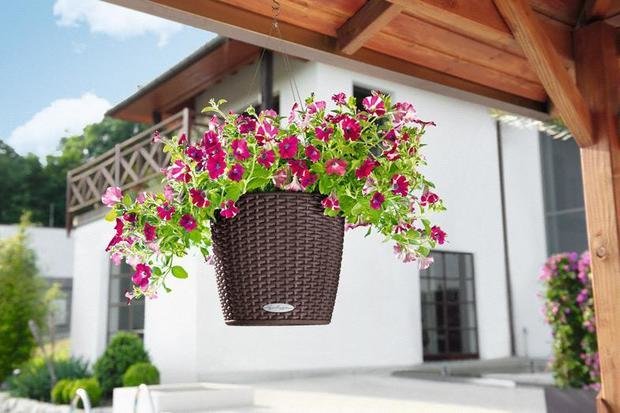 Фото из портфолио Цветочный горшок с автополивом LECHUZA (Лечуза) NIDO – фотографии дизайна интерьеров на INMYROOM