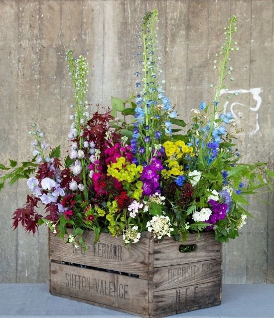 Фотография: Флористика в стиле , Дом, Ландшафт, Декор, Советы, Дача, Шале, Дом и дача – фото на INMYROOM