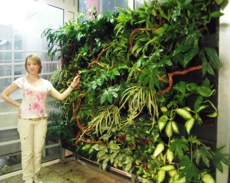 Фотография: Флористика в стиле , Балкон, Декор интерьера, DIY, Дом, Стиль жизни, Цветы, специальная тема: балконы – фото на INMYROOM Фотография: Флористика в стиле , Балкон, Декор интерьера, DIY, Дом, Стиль жизни, Цветы, специальная тема: балконы – фото на INMYROOM