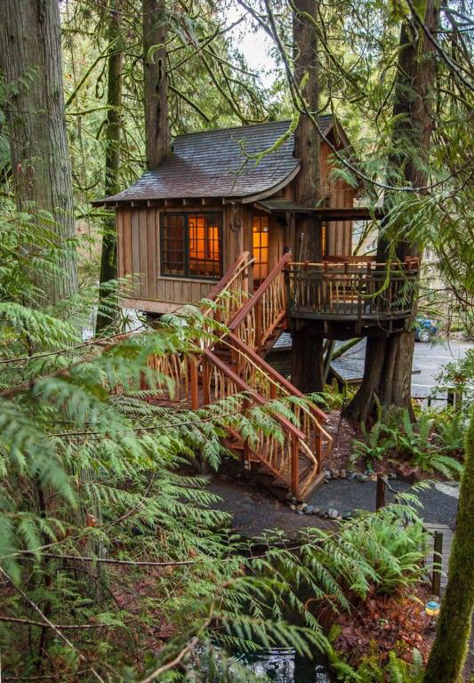Фотография:  в стиле , Гид, Дом и дача, домик на дереве – фото на INMYROOM