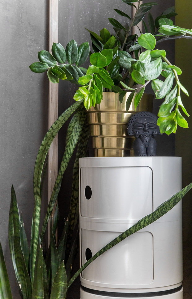 Фотография: Декор в стиле Современный, Квартира, Проект недели, Москва, II-49, Панельный дом, 2 комнаты, 40-60 метров, Иван Поздняков, энциклодпедия_малогабаритка – фото на INMYROOM