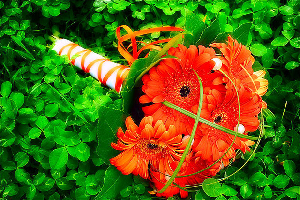 Фотография: Флористика в стиле , Декор интерьера, DIY, Дом, Стиль жизни – фото на INMYROOM