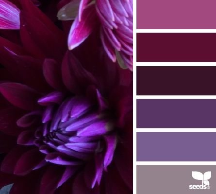 Фото из портфолио Сочетание цветов – фотографии дизайна интерьеров на InMyRoom.ru