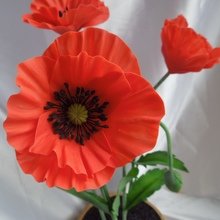 Фото из портфолио Цветы из холодного фарфора – фотографии дизайна интерьеров на INMYROOM