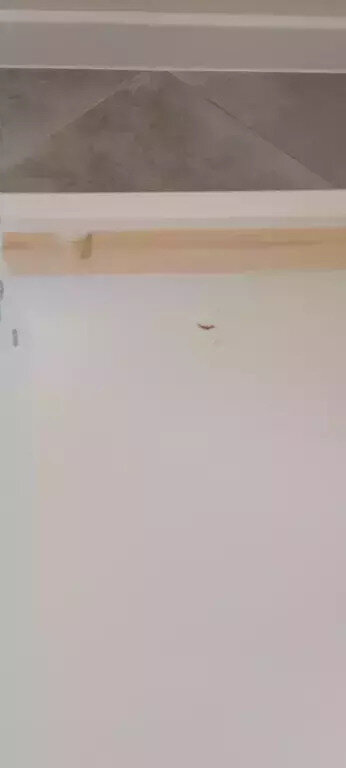 Фотография:  в стиле  – фото на INMYROOM