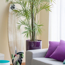 Фото из портфолио Сливы в ванильном соусе – фотографии дизайна интерьеров на INMYROOM