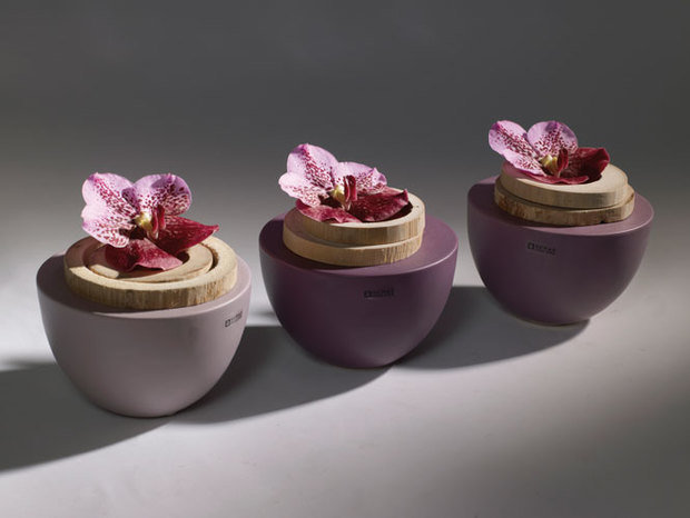 Фото из портфолио декоративные вазы – фотографии дизайна интерьеров на INMYROOM