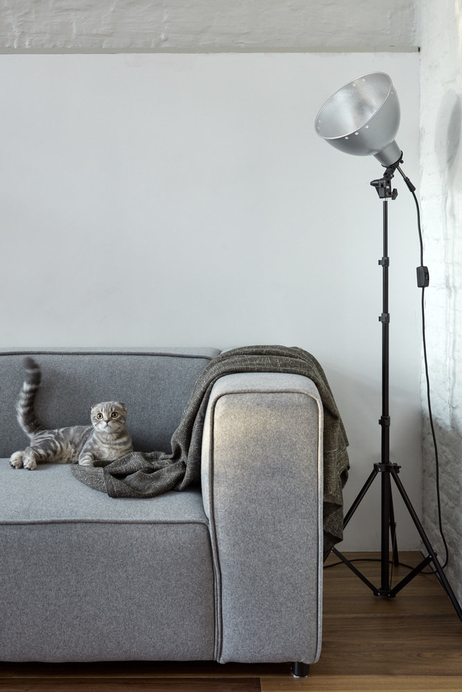 Фотография: Гостиная в стиле Лофт, Квартира, Минимализм, Проект недели, Москва, Старый фонд, 3 комнаты, 60-90 метров, Арсений Борисенко, za bor – фото на INMYROOM Фотография: Гостиная в стиле Лофт, Квартира, Минимализм, Проект недели, Москва, Старый фонд, 3 комнаты, 60-90 метров, Арсений Борисенко, za bor – фото на INMYROOM