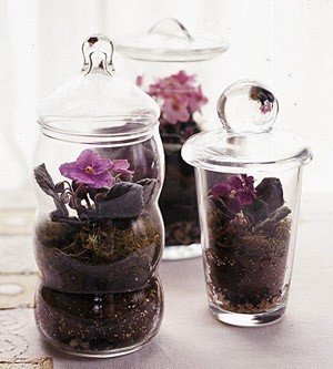 Фотография: Флористика в стиле , Балкон, Стиль жизни – фото на INMYROOM