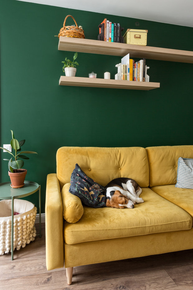 Фотография: Гостиная в стиле Минимализм, Скандинавский, Современный, Квартира, Белый, Проект дня, Зеленый, Желтый, Серый, Герой InMyRoom, Хрущевка, 2 комнаты, 40-60 метров, 1-515/9м, Екатерина Вокина, Ольга Казанцева – фото на INMYROOM