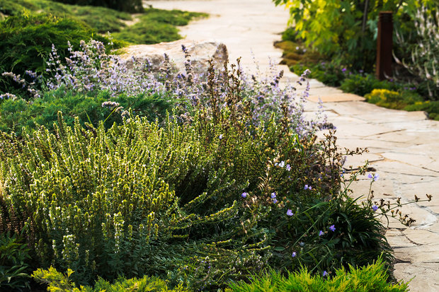 Дизайн: Derevo Park