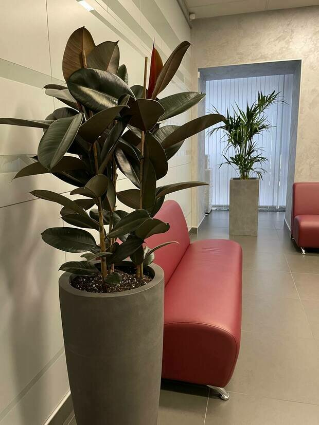 Фото из портфолио АО Банк Россия г. Санкт-Петербург – фотографии дизайна интерьеров на INMYROOM