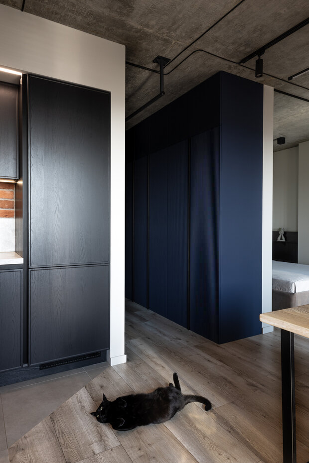 Фотография: Кухня и столовая в стиле Лофт, Современный, Квартира, Студия, Проект недели, Самара, 40-60 метров, ART METR – фото на INMYROOM