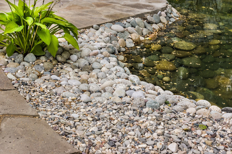 Фотография: Ландшафт в стиле Современный, Дачный ответ, Беседка – фото на INMYROOM Фотография: Ландшафт в стиле Современный, Дачный ответ, Беседка – фото на INMYROOM