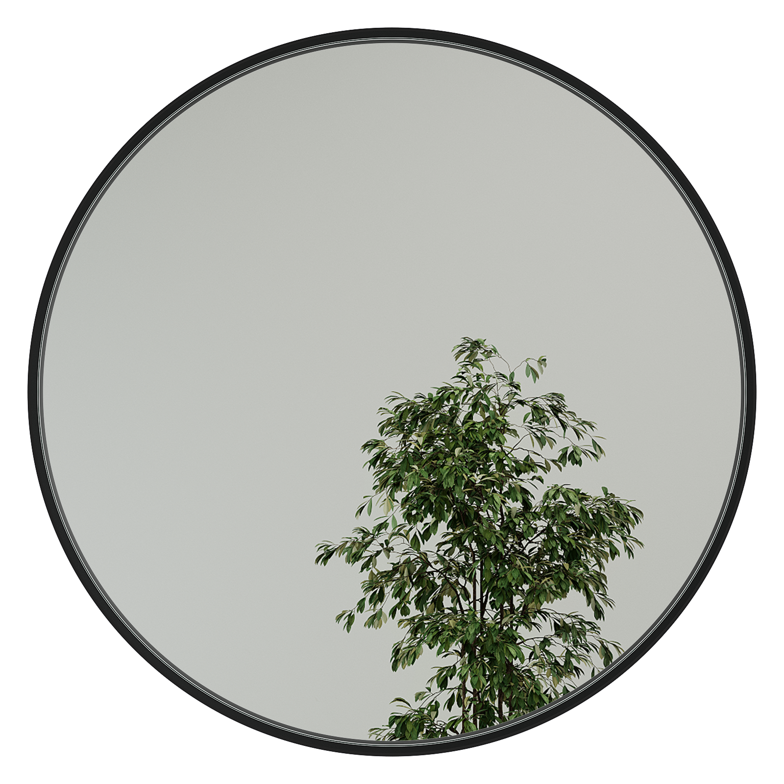 Настенное зеркало Rauntel M в раме черного цвета